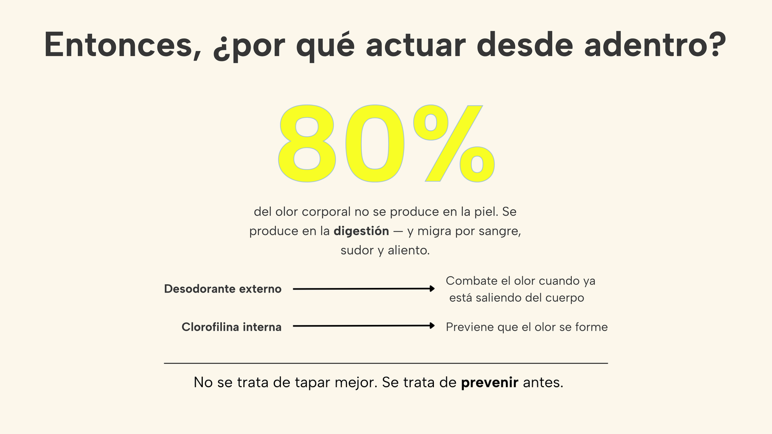 Banner Responsive