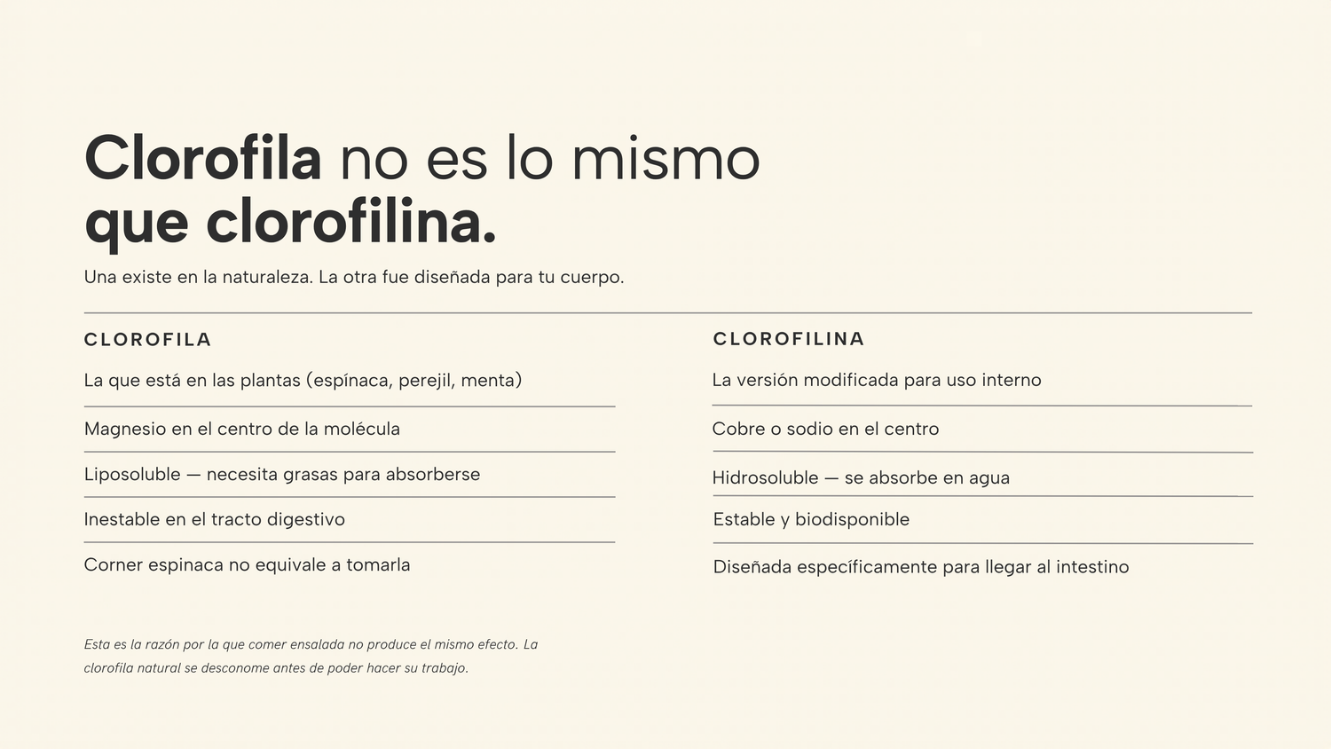 Banner Responsive