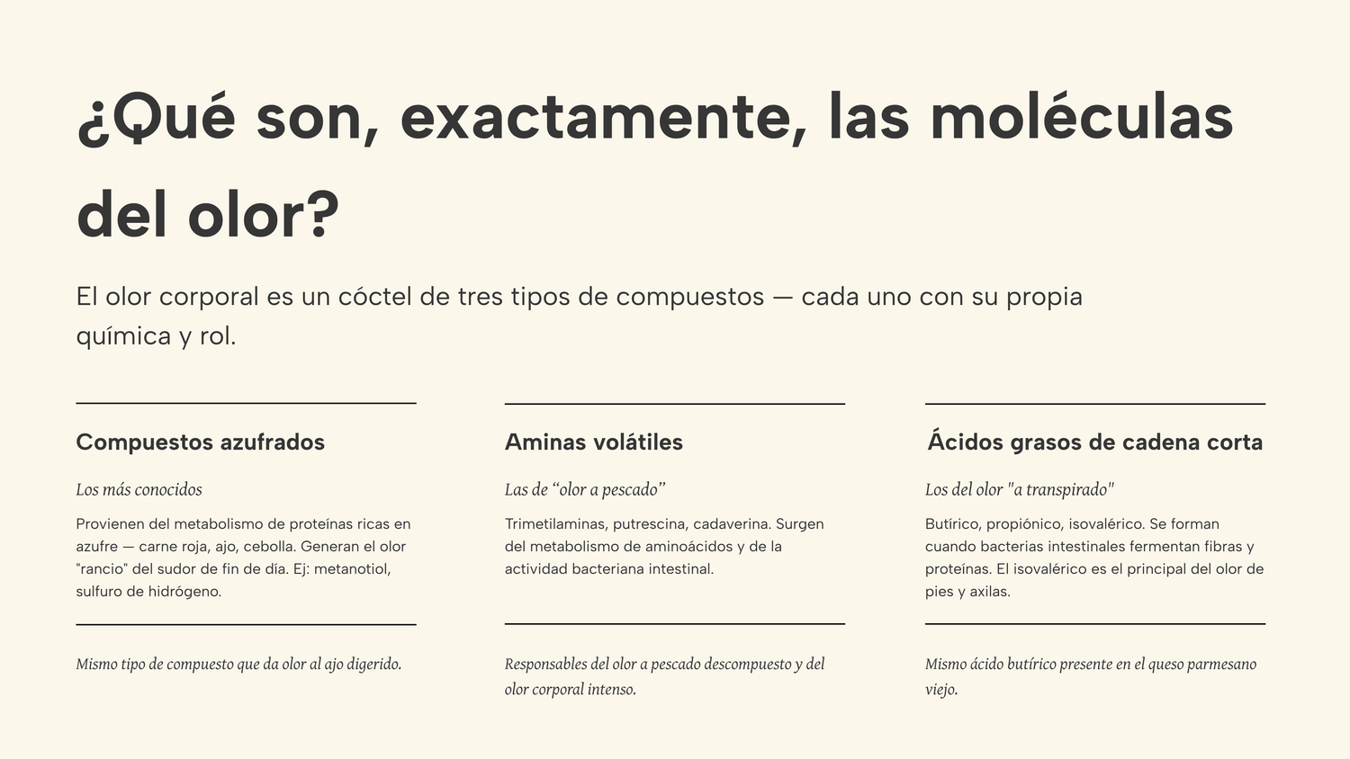 Banner Responsive