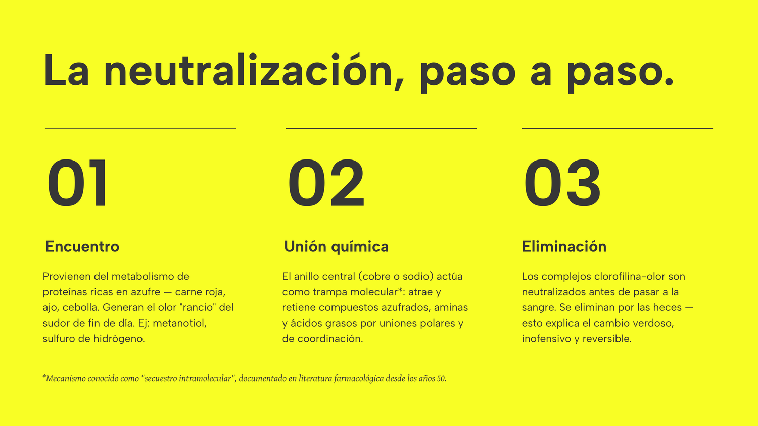 Banner Responsive