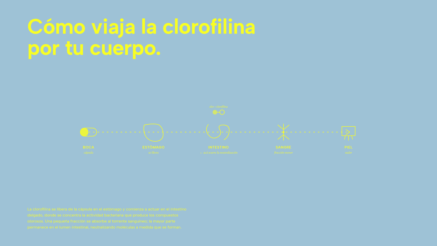 Banner Responsive